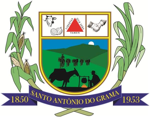 Novo Bras&atilde;o Municipal